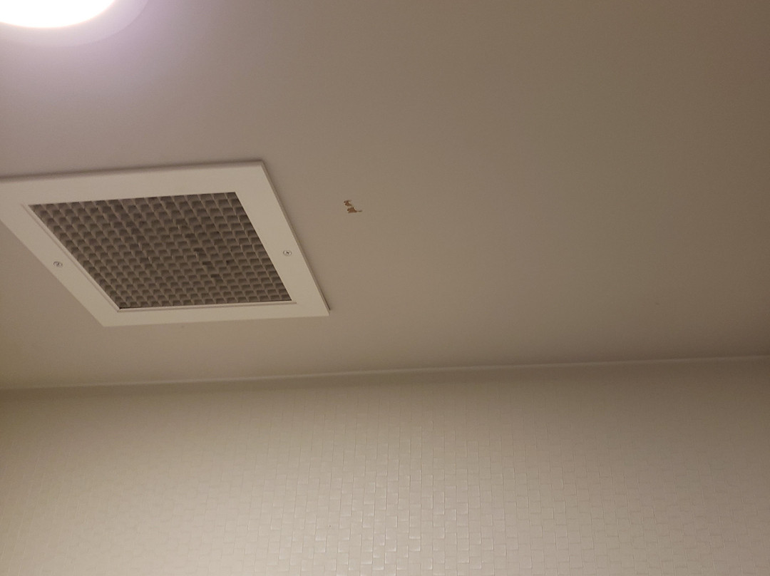 Hampton Inn & Suites Cordele主图