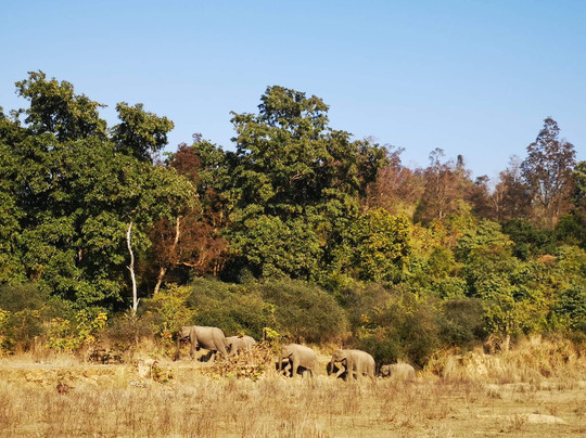 Wild Splash-里希克虚必去景点