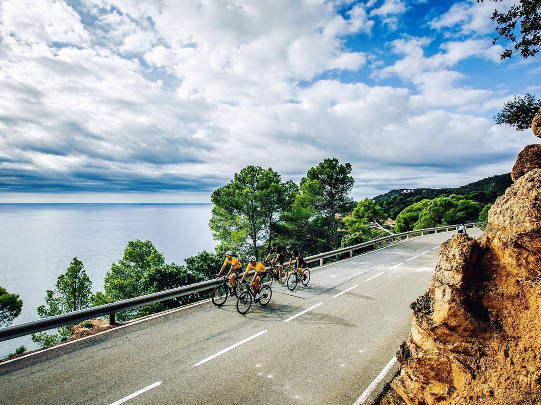 Catalonia Bike Tours景点图片