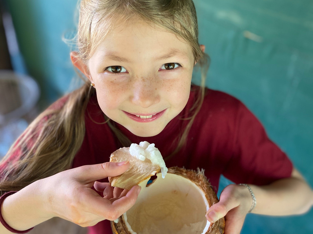 India Odyssey Tours - Colombo One-day Tour-科伦坡必去景点