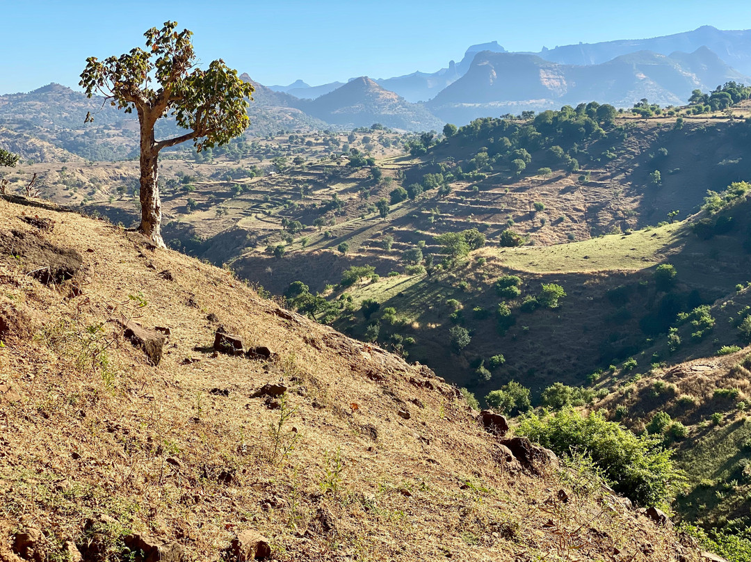 Simien Mountain Treks景点图片