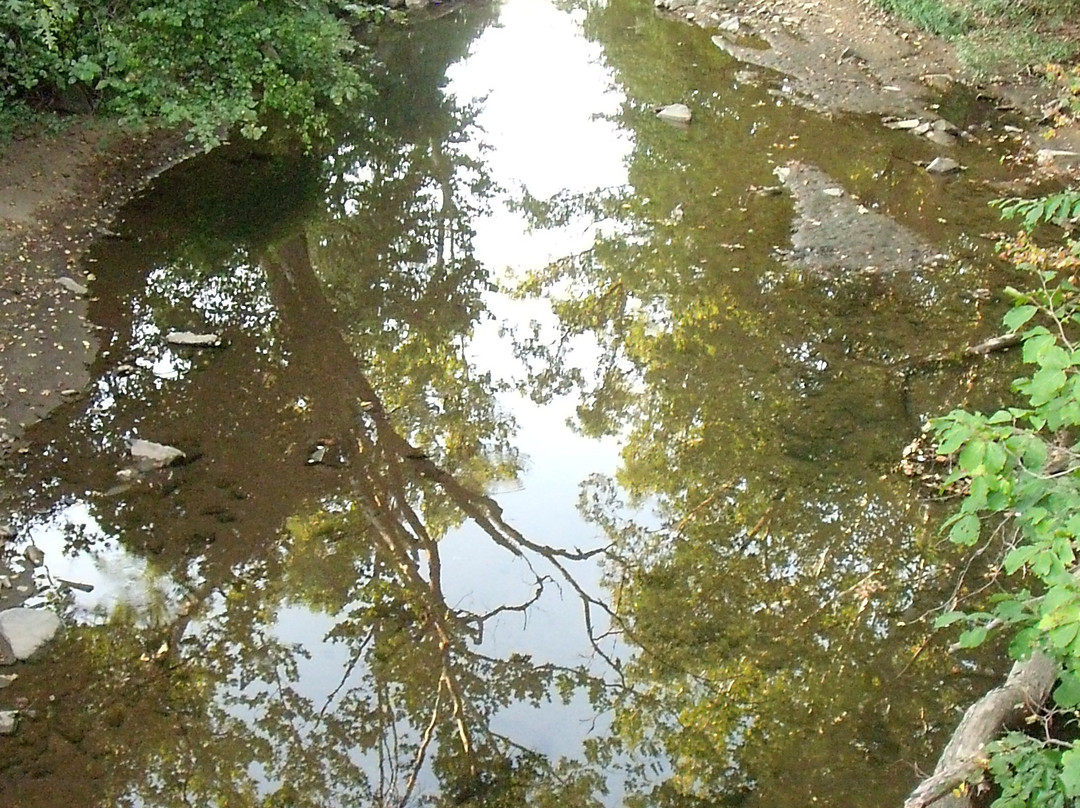 Sligo Creek Park景点图片