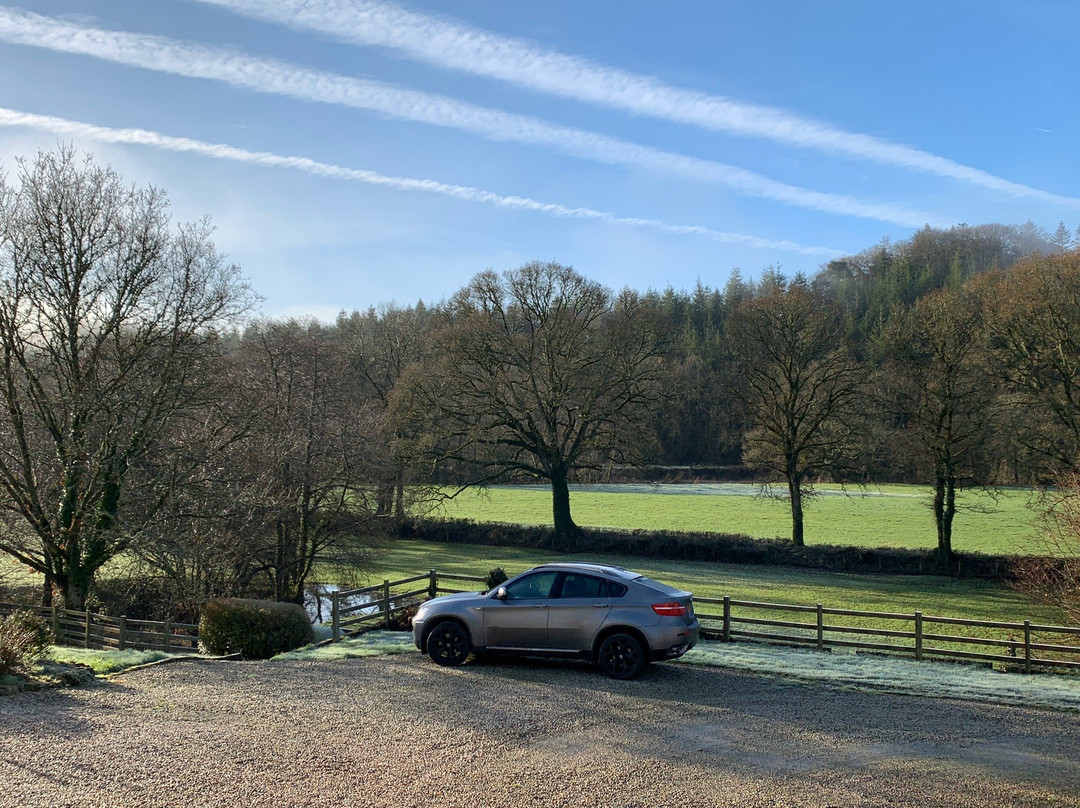 Meadowland Farm B&B and Shepherd's Hut主图