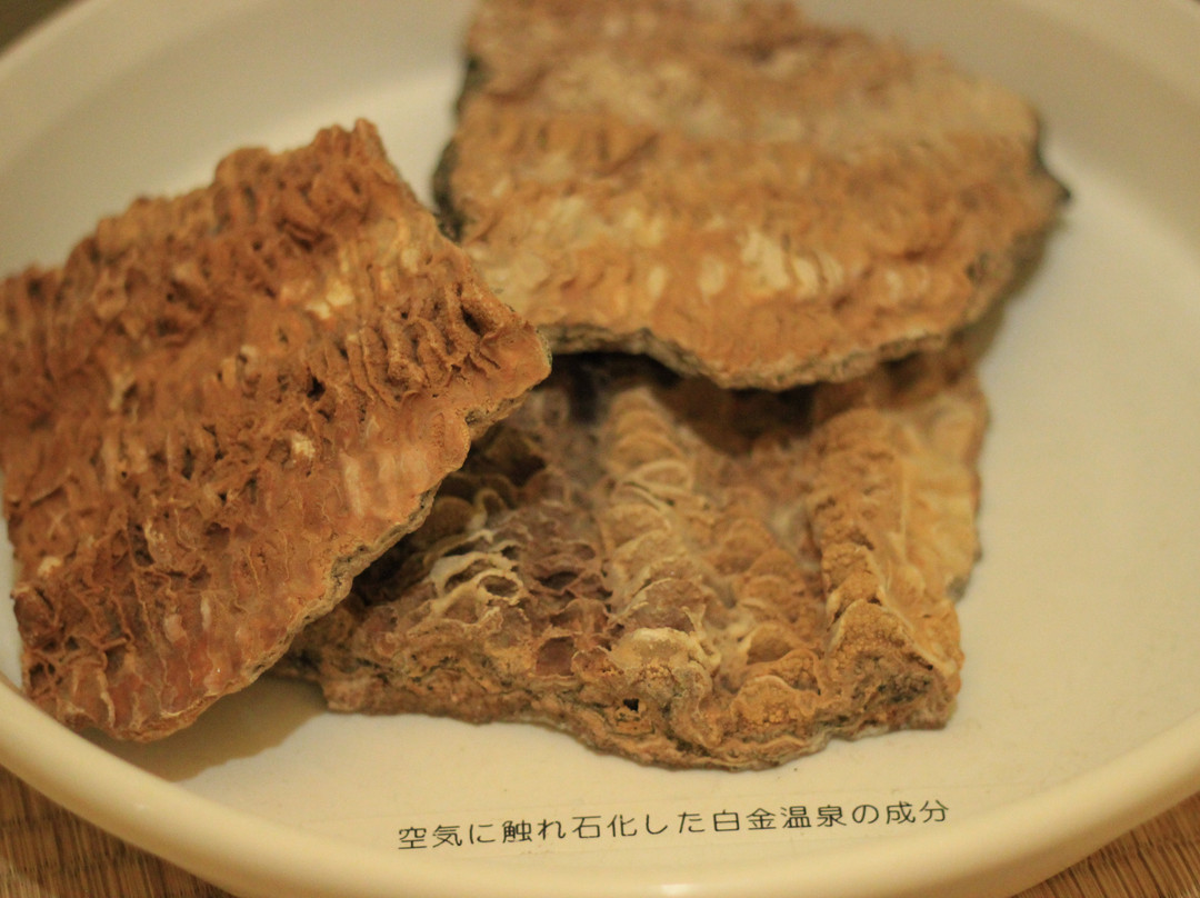美瑛主图