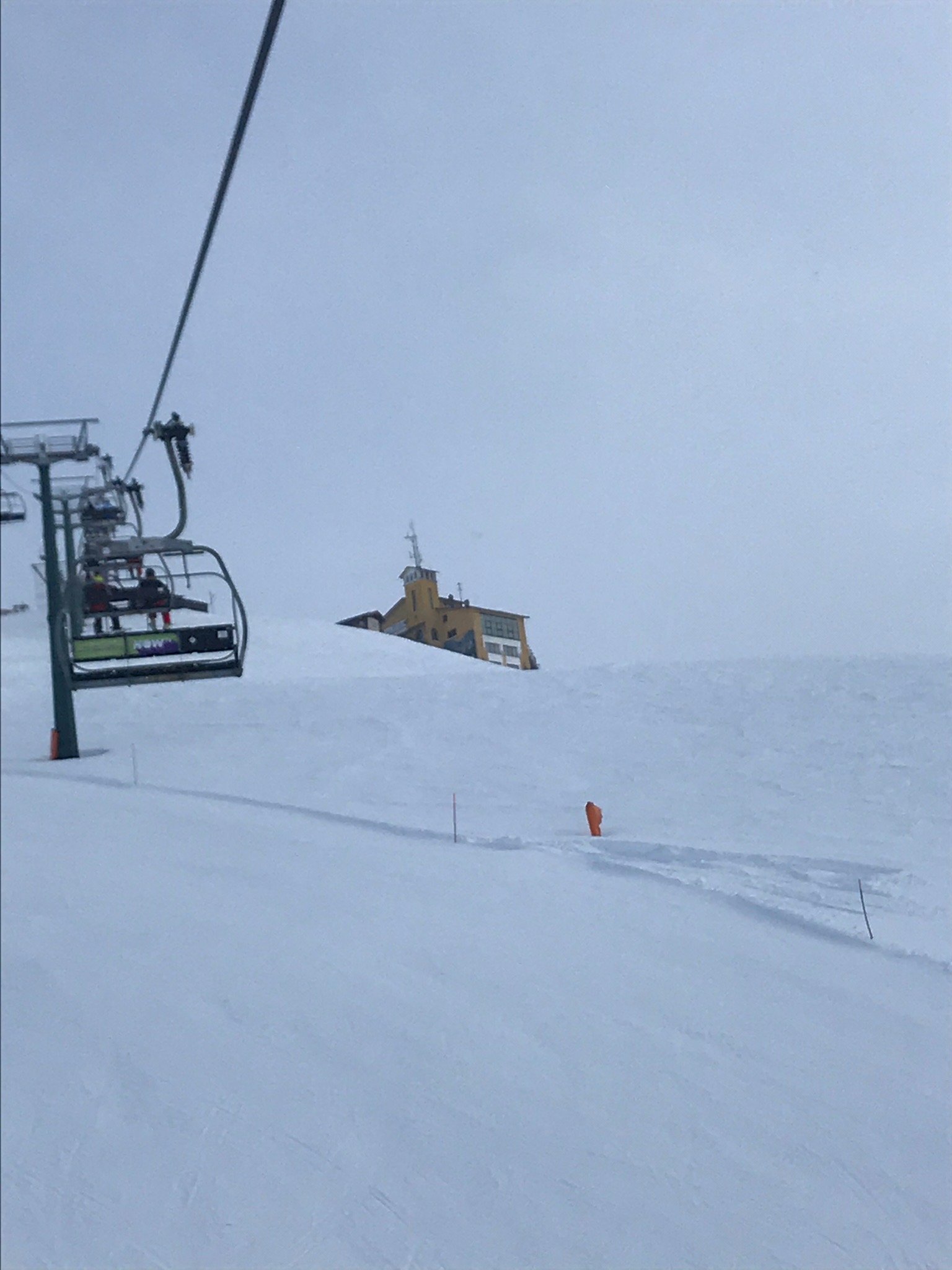 Tana Della Volpe-官方