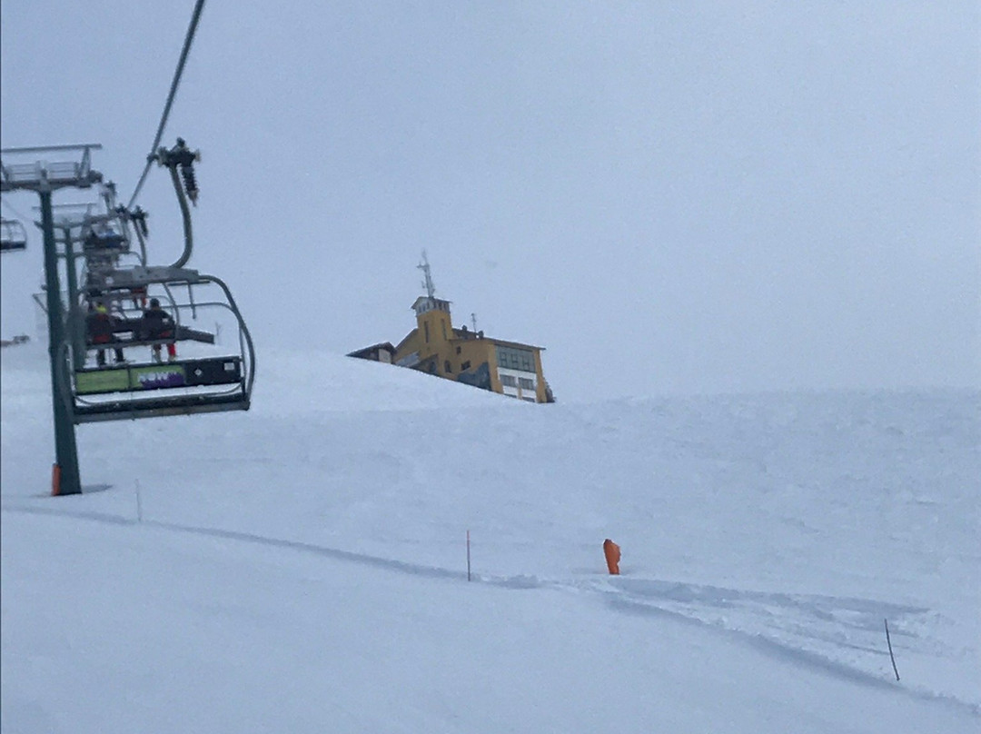 Tana Della Volpe主图