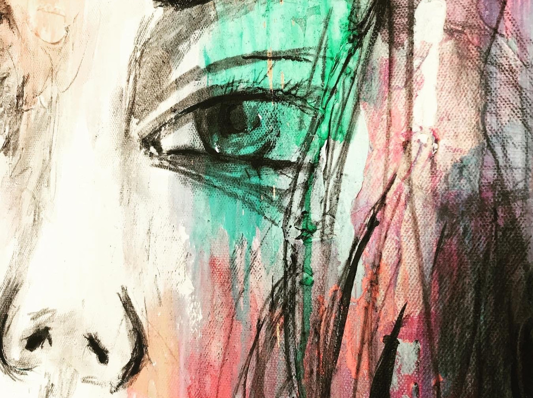 Jet James Art Gallery-Yeppoon必去景点