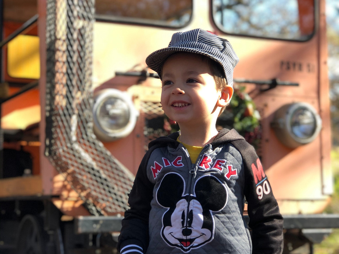 Placerville & Sacramento Valley Railroad-佛森必去景点