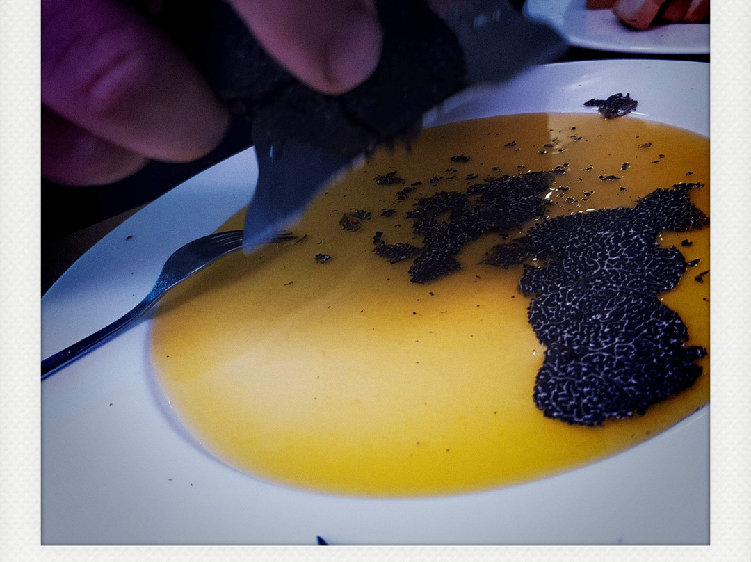 Truffle Museum-Metauten必去景点