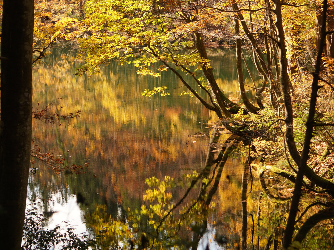 Ryugakubonomizu-津南町必去景点