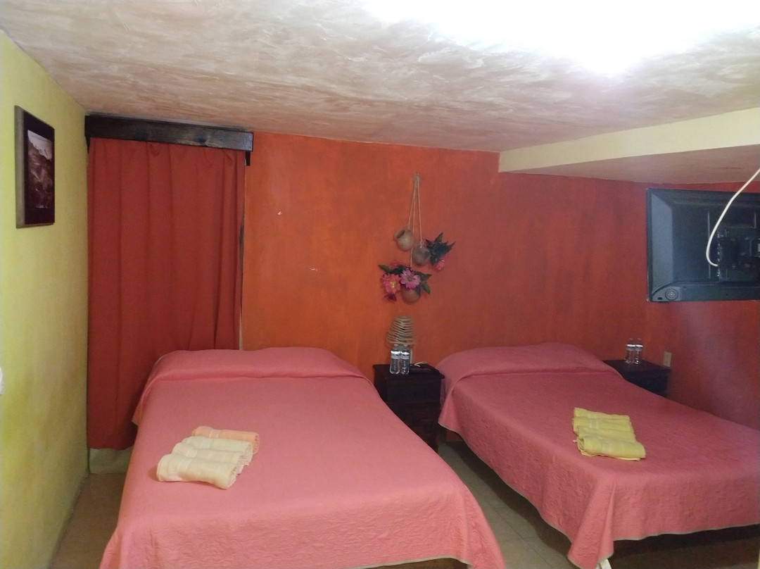 Jardin Huasteca主图