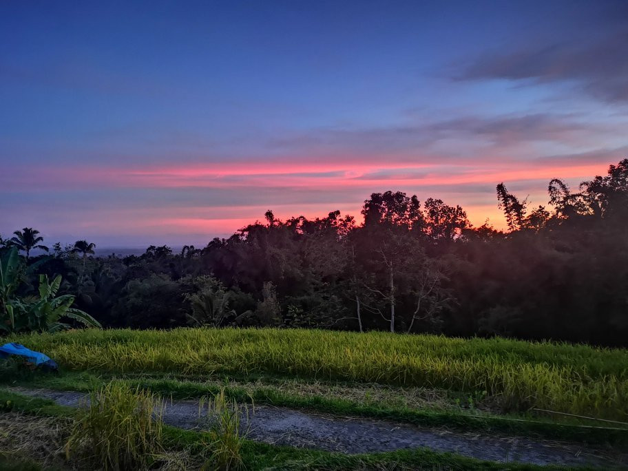 Kubu D’Ume Homestay主图