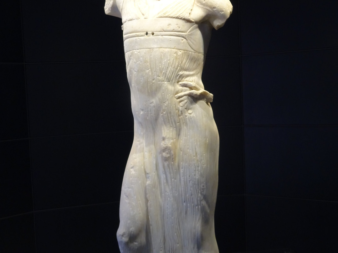 Museo Whitaker-马尔萨拉必去景点