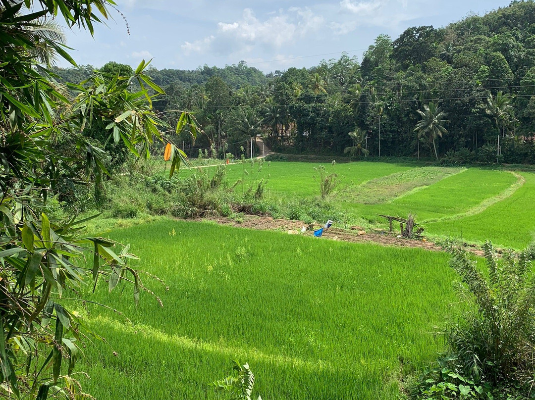 Green View Home Stay主图