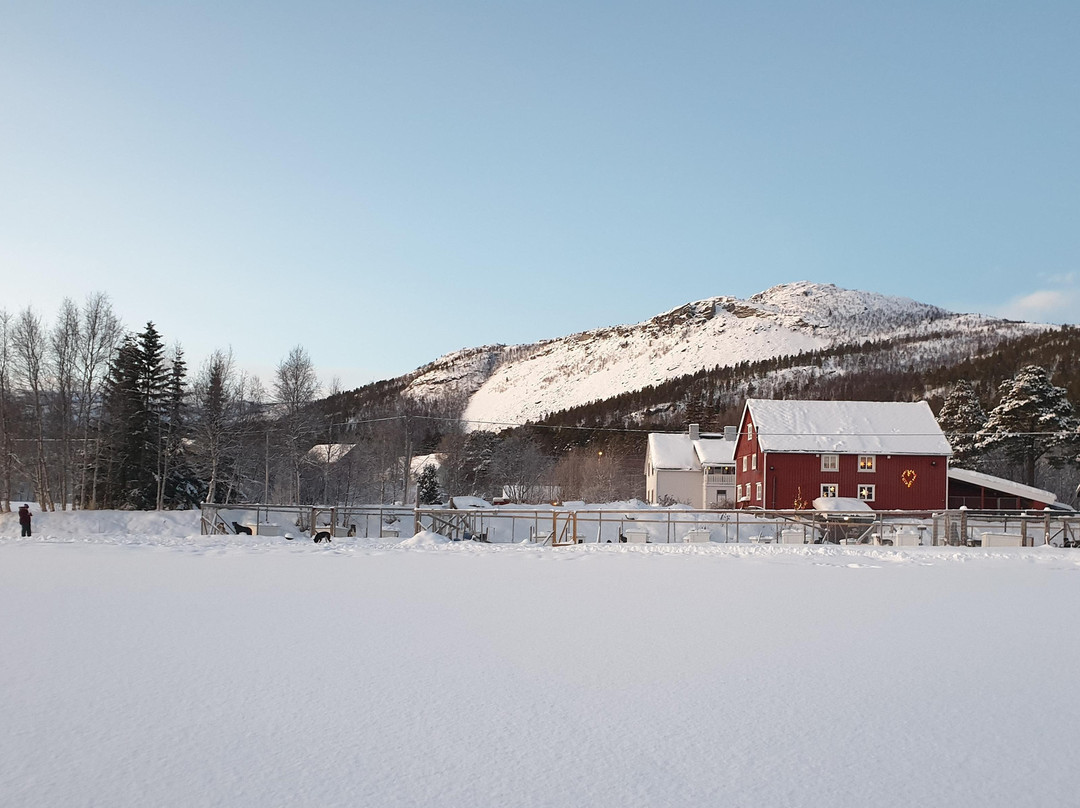 HORISONT HUSKY - Dogsled adventures and expeditions in the Arctic-阿尔塔必去景点