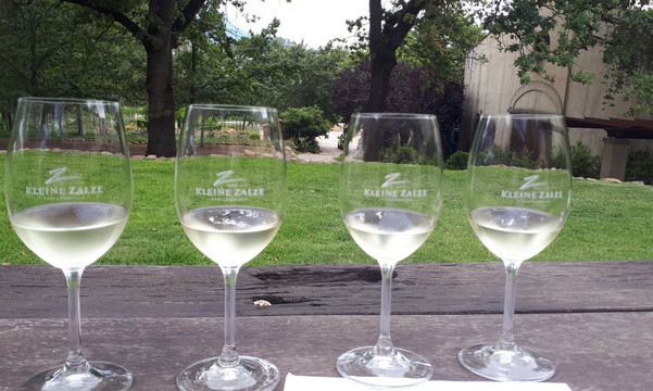 Vine Hopper-斯泰伦博斯必去景点