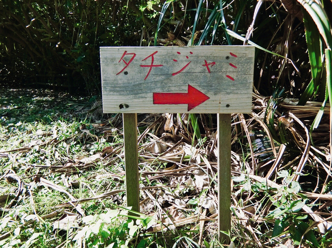 Tachijyami景点图片