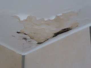 Hotel Rosenthaler Hof主图