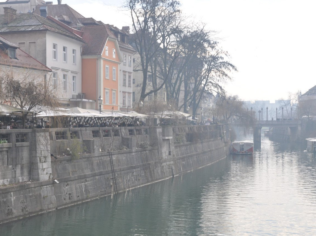 Shoemaker's Bridge (Cevljarski Most)-卢布尔雅那必去景点