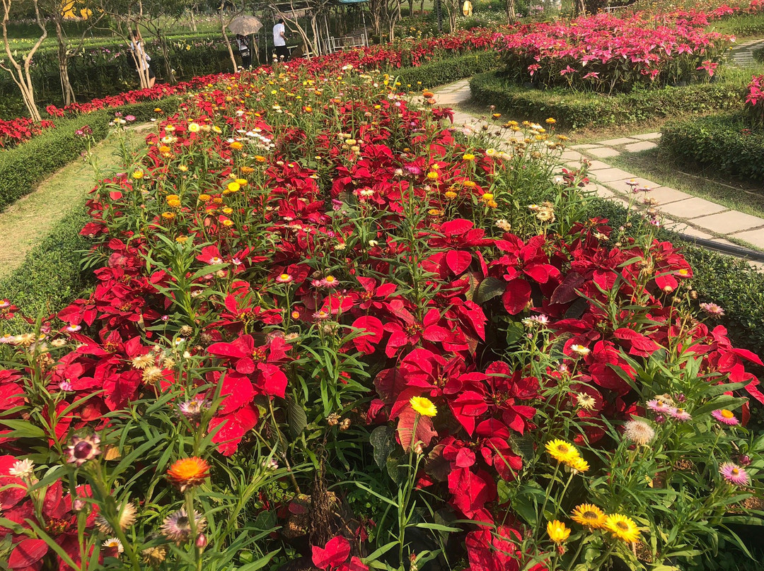 The Bloom By TV Pool景点图片