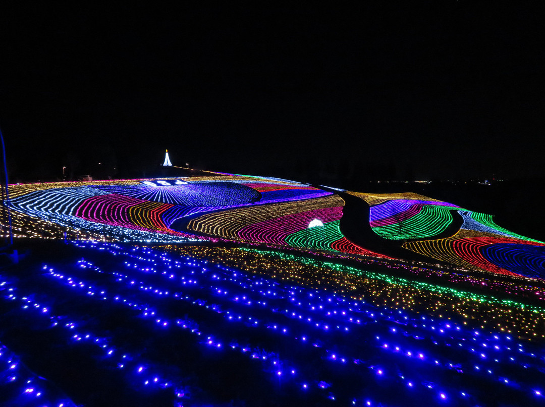 Ota Illumination-太田市必去景点