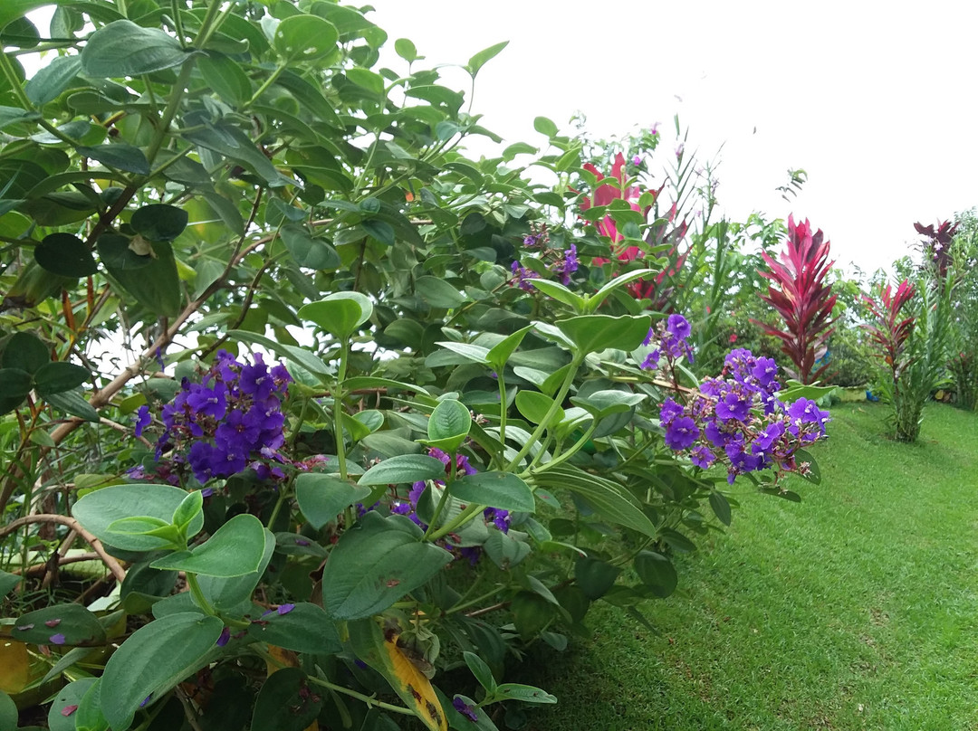 Finca La Puesta Del Sol主图