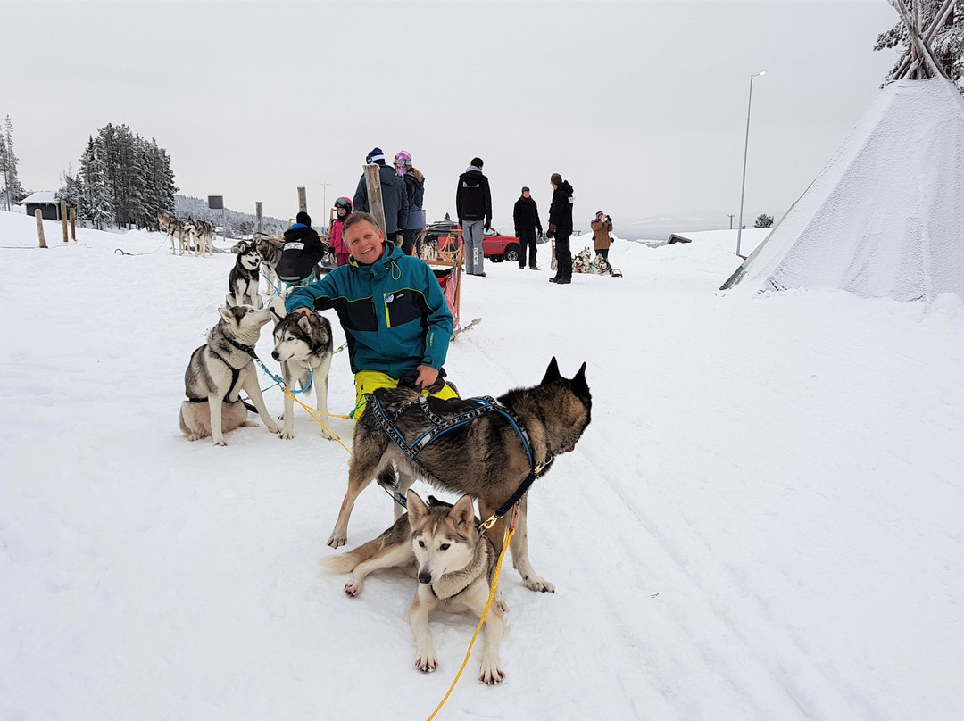 Adventure Dreams Husky Dogsledding-Idre必去景点