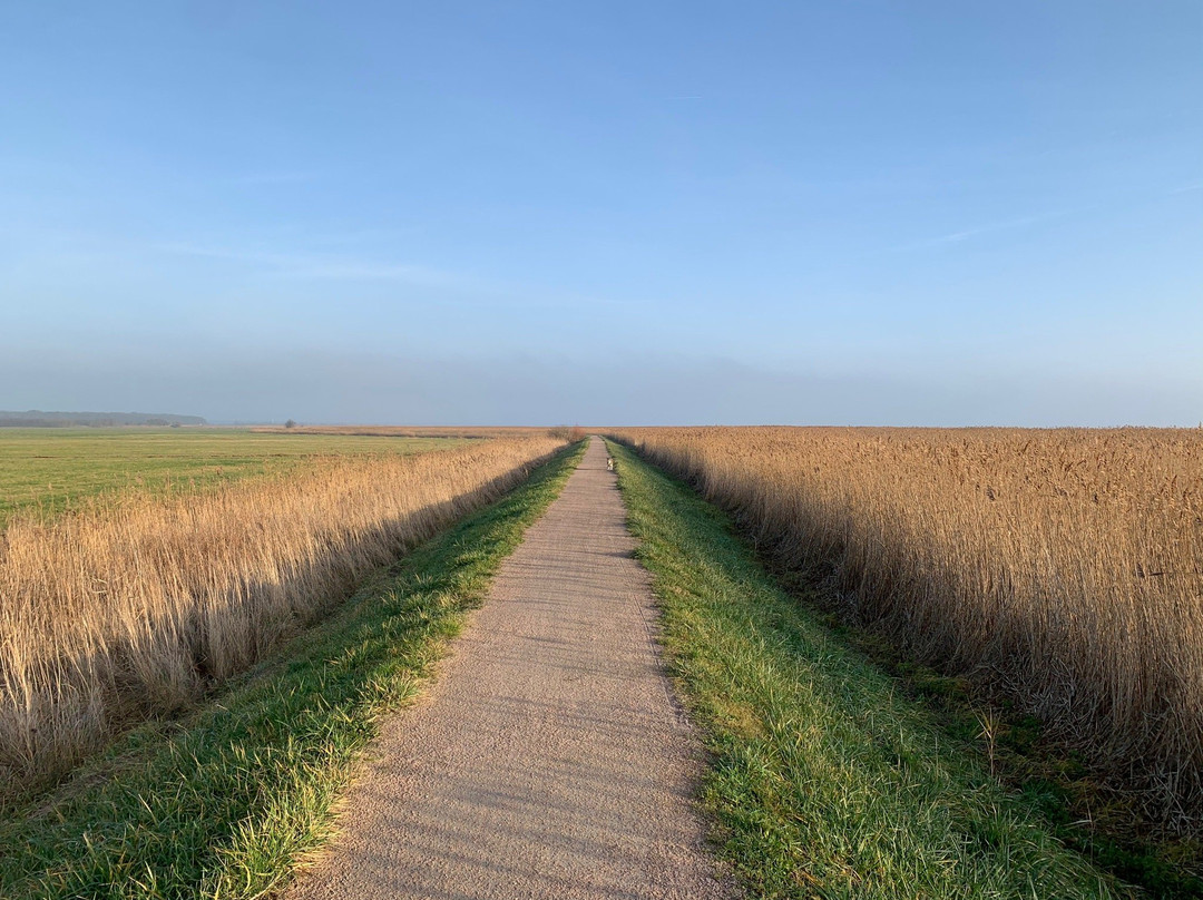 Der Charlottenhof主图