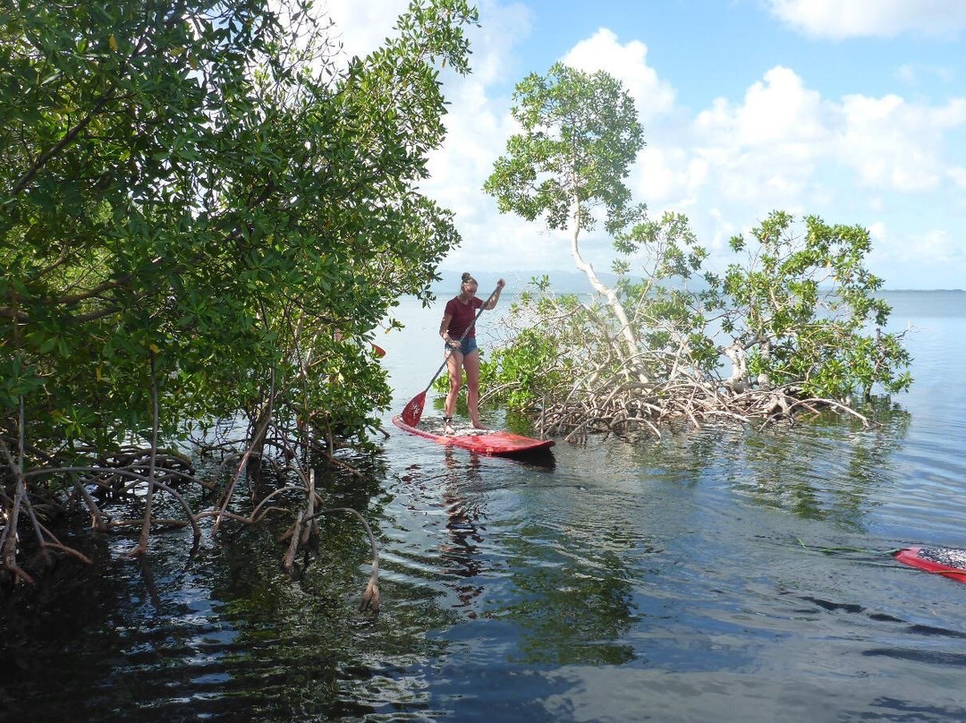 Get Up Stand Up-Morne-A-l'Eau必去景点