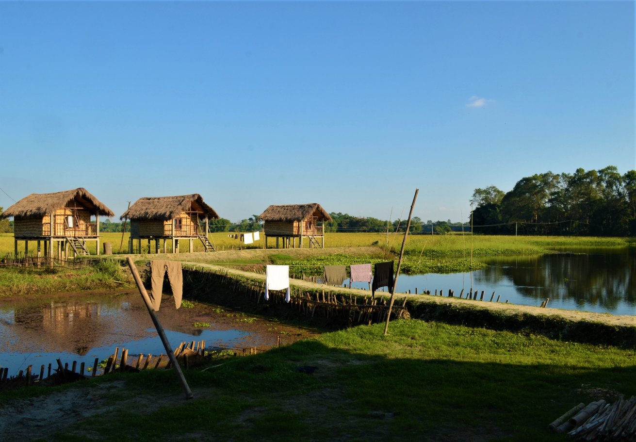 Ygdrasill Bamboo Cottage-官方