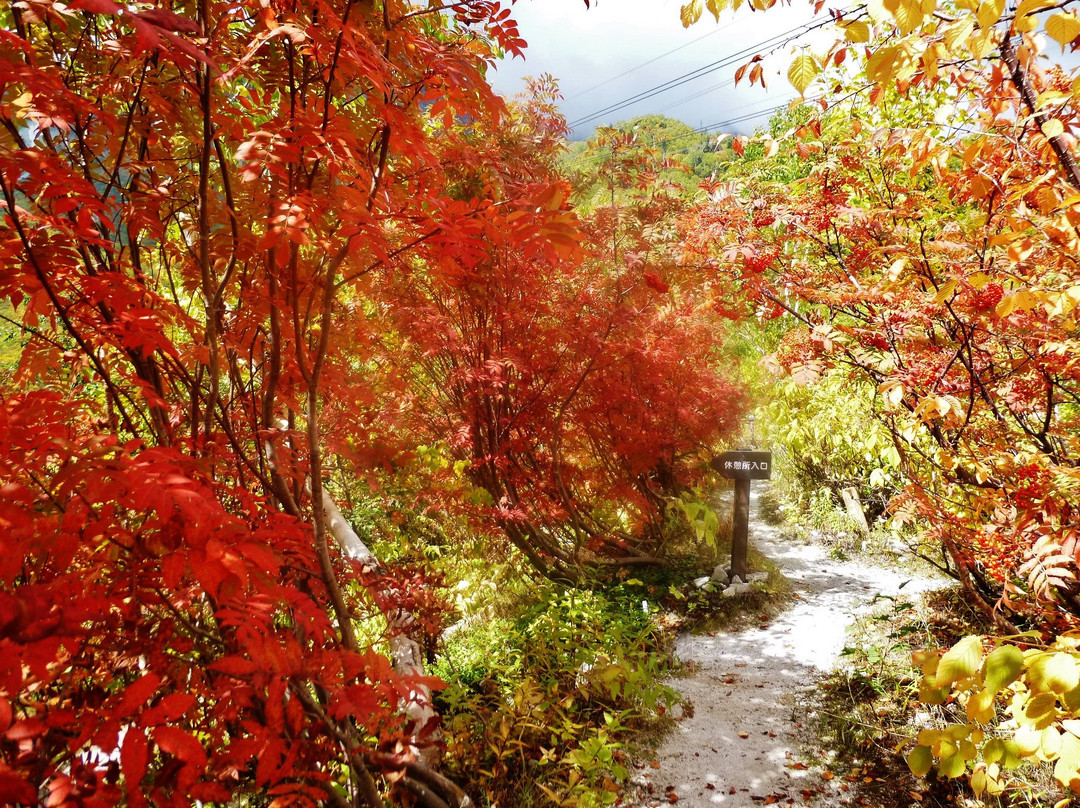 Kurobedaira Park-立山町必去景点