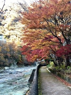 Shohuro Matsuya主图