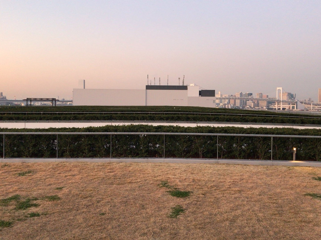 Toyosu Market Rooftop Garden-Toyosu必去景点