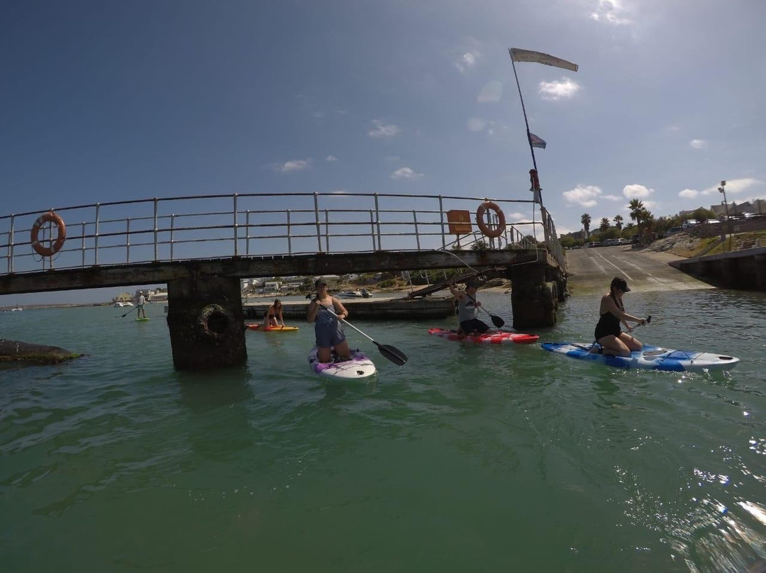 C Kite Langebaan-兰吉班必去景点