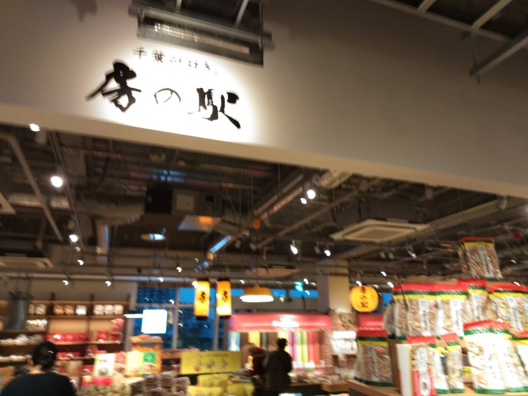 Kashiwanoha T-SITE-柏市必去景点