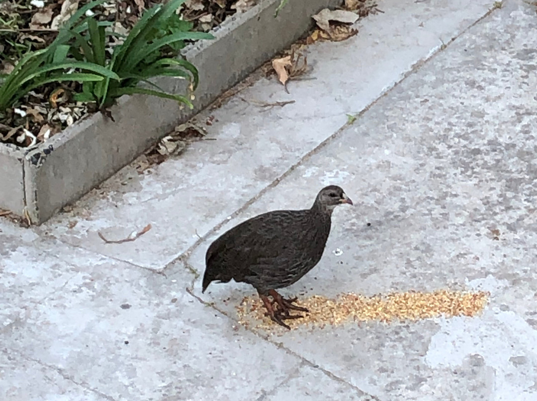 Parow酒店住宿-Cape Dawn Guest House