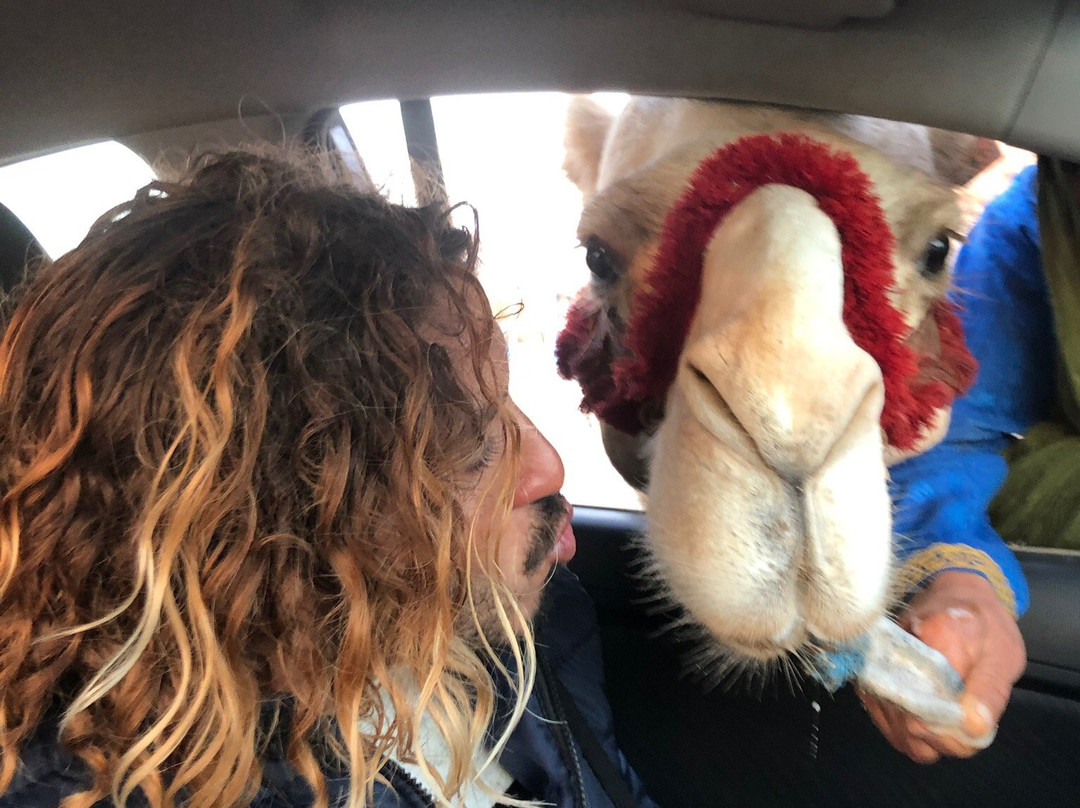 Mooja Surf Camp-Tamraght必去景点