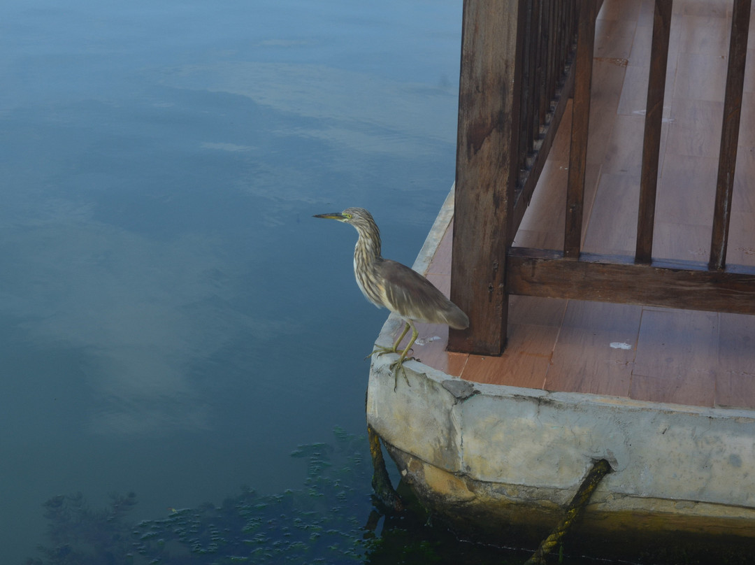 波瓦尔岛度假村主图