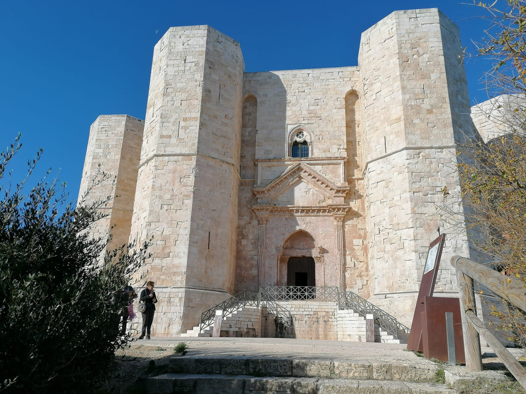 Daniela Mancia - Visite guidate-贝加莫必去景点