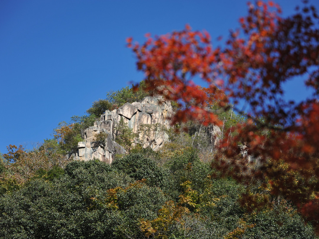 Meishogo Valley景点图片