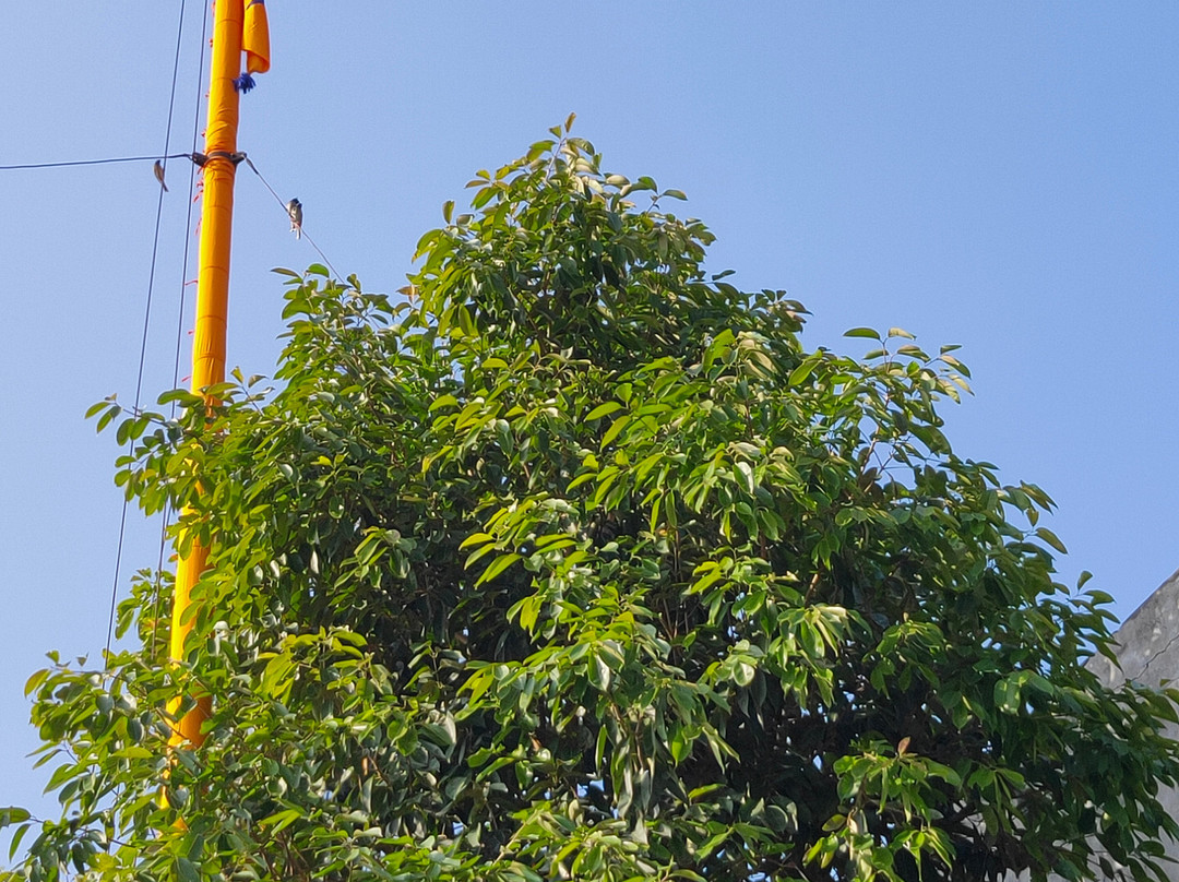Jhulna Mahal景点图片