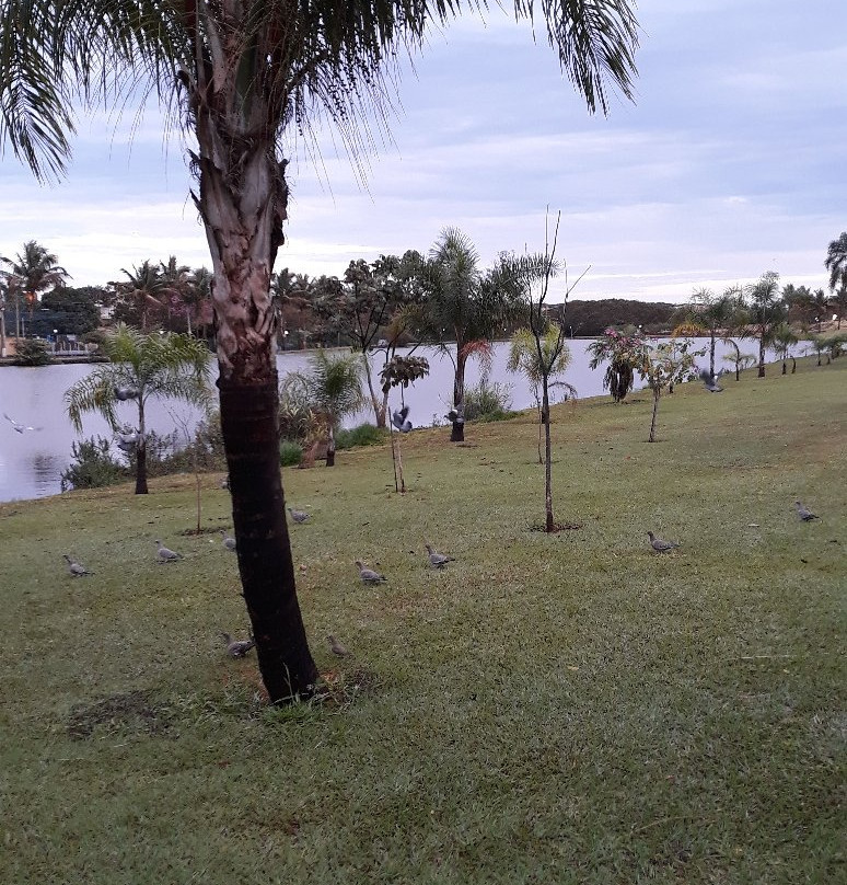 Dr. Renato Pagano Ecological Park-Cravinhos必去景点