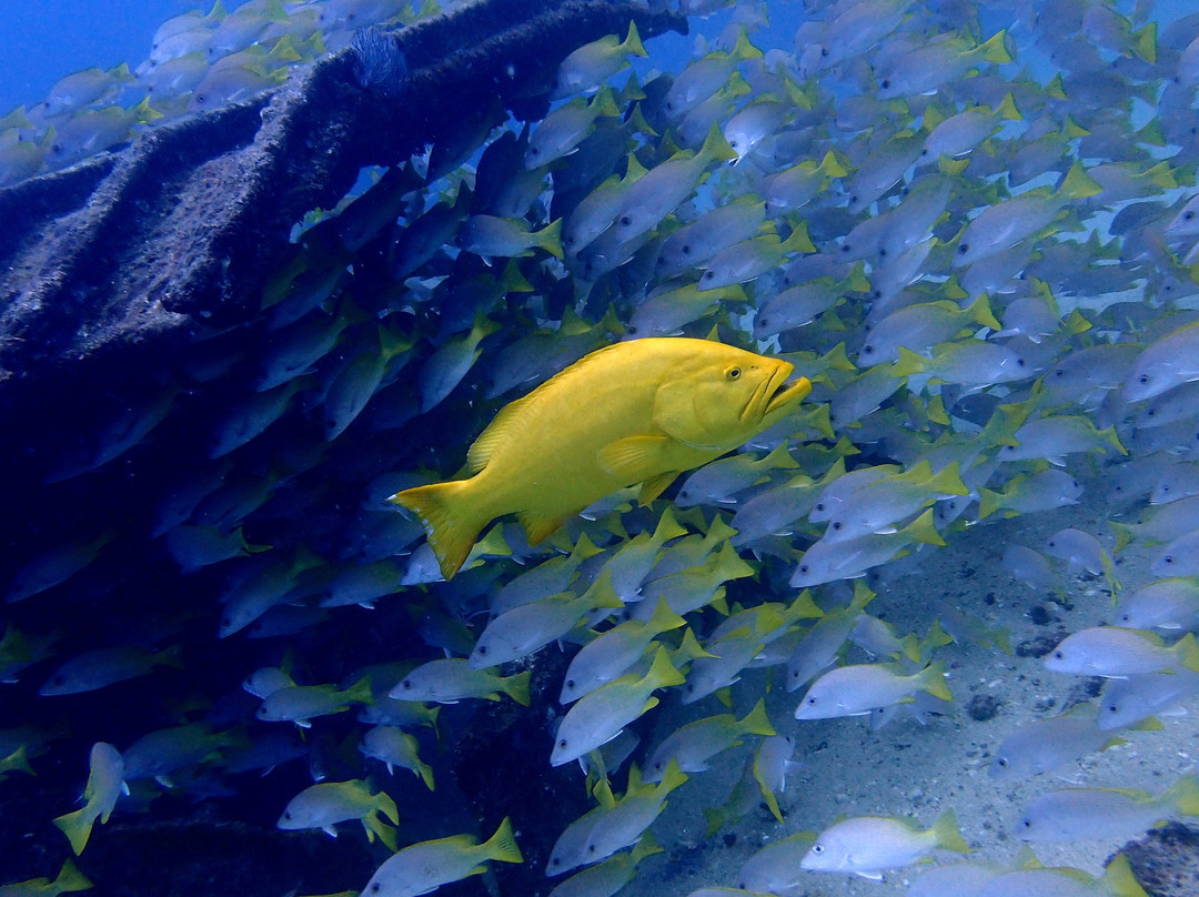 Mar y Sierra-Cabo Pulmo必去景点