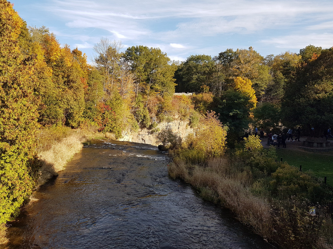 Webster Falls-邓达斯必去景点