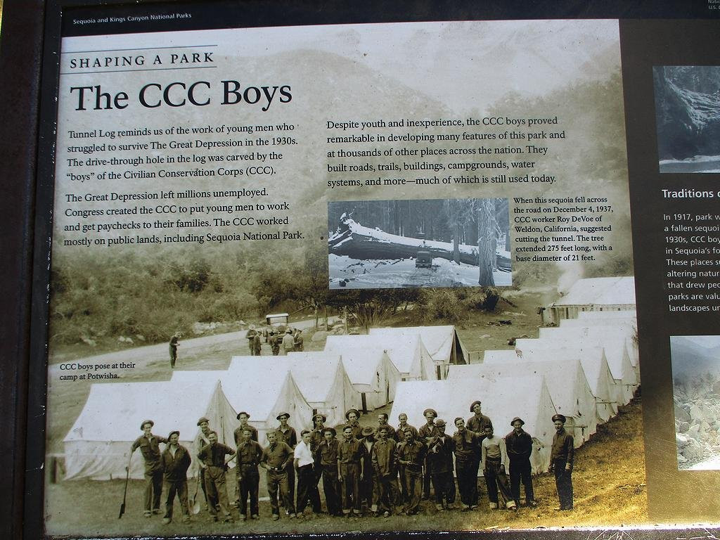 Tunnel Log-红杉&国王峡谷国家公园必去景点