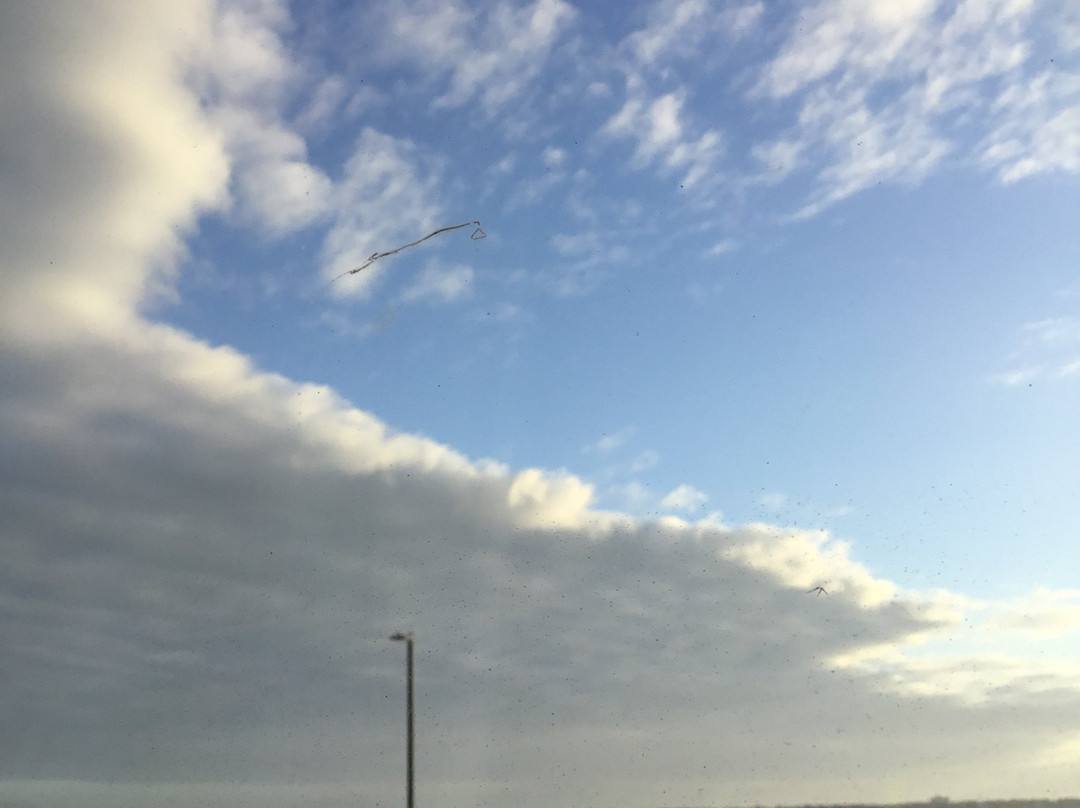 莫尔黑德城希尔顿恒庭酒店主图