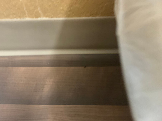 Extended Stay America Orlando - Maitland - 1760 Pembrook Dr.主图