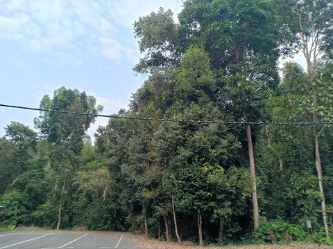 Bera Lake-直凉必去景点