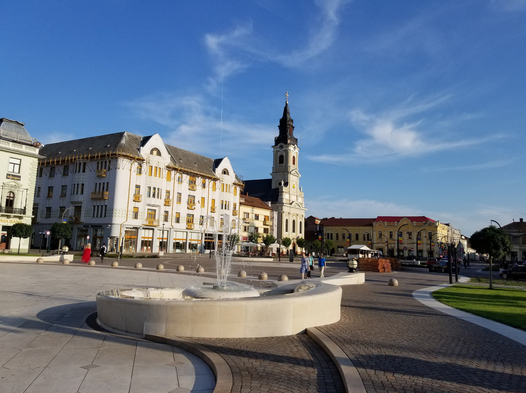 Palatul Moskovits Adolf Si Fii-拉迪亚必去景点