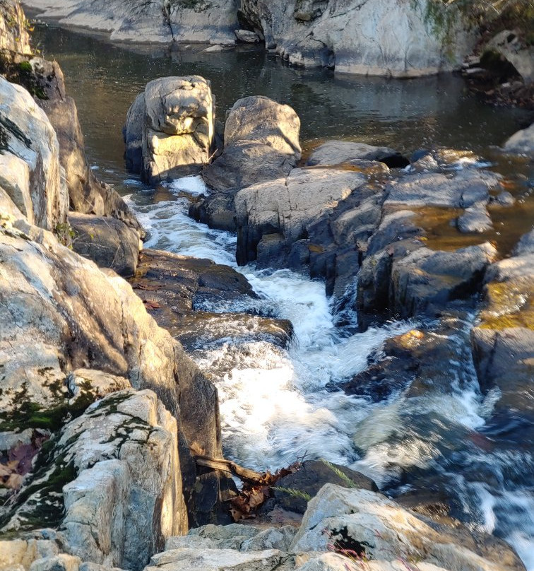 Richland Creek Canopy Tours景点图片